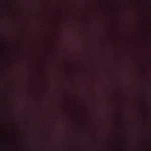 Meet your Posher, Yaritza